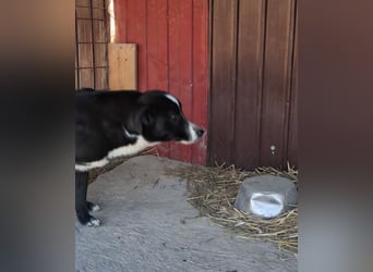 Maylo - sooo hübsch❤️