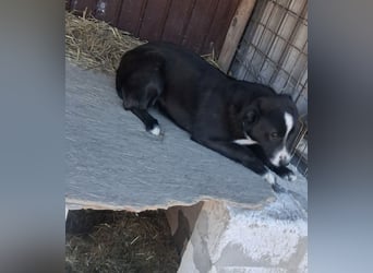 Maylo - sooo hübsch❤️