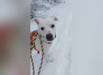 Frieda - fröhlich und unkompliziert