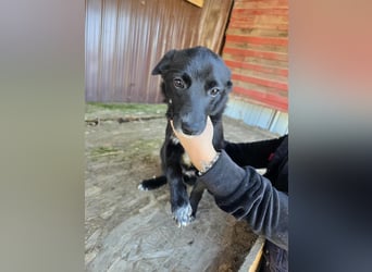 Ronya - süßer Schatz