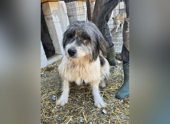 Sina hat so viel Leid ertragen