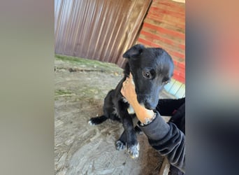 Ronya - süßer Schatz