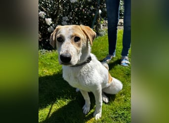 Luna - in Deutschland