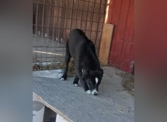 Maylo - sooo hübsch❤️