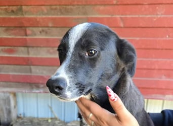 Maylo - sooo hübsch❤️