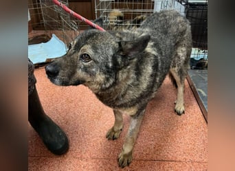 Emilio musste so viel Leid ertragen