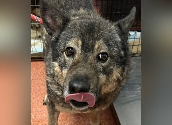 Emilio musste so viel Leid ertragen