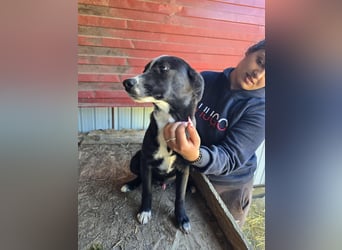 Maylo - wurde ausgesetzt