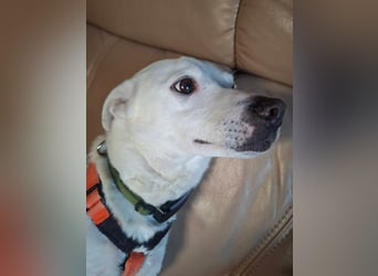 Frieda - fröhlich und unkompliziert