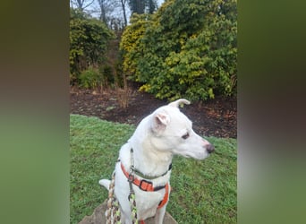 Frieda - fröhlich und unkompliziert