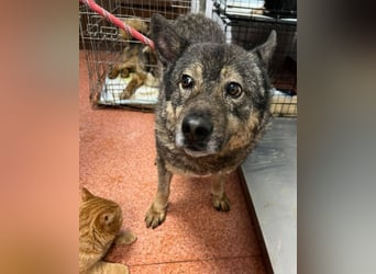 Emilio musste so viel Leid ertragen