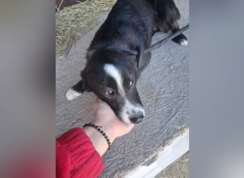 Maylo - sooo hübsch❤️