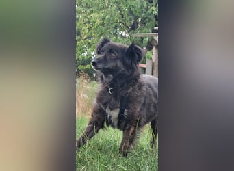 Charlotte - PLZ 31603