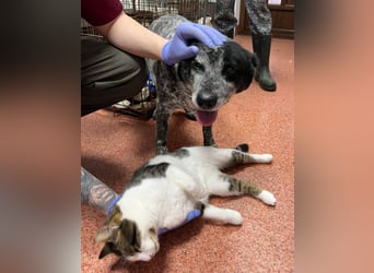 Kora - herzallerliebst❤️