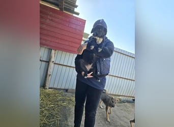 Ronya - süßer Schatz