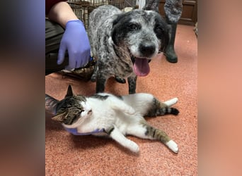 Kora - herzallerliebst❤️