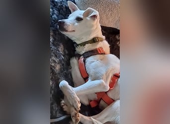 Frieda - fröhlich und unkompliziert