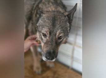 Emilio musste so viel Leid ertragen