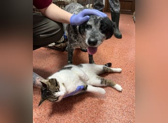 Kora - herzallerliebst❤️