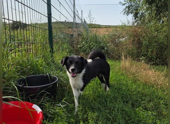 Lola - unternehmungslustig