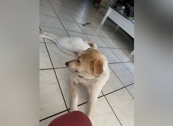 Luna - in Deutschland