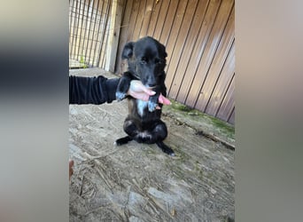 Ronya - süßer Schatz