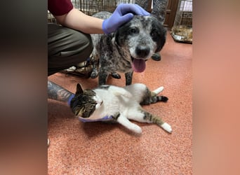 Kora - herzallerliebst❤️