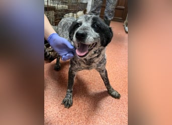 Kora - herzallerliebst❤️