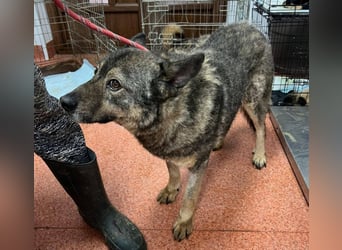 Emilio musste so viel Leid ertragen