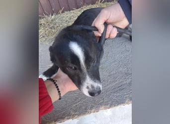 Maylo - sooo hübsch❤️