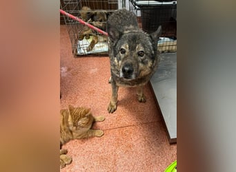 Emilio musste so viel Leid ertragen