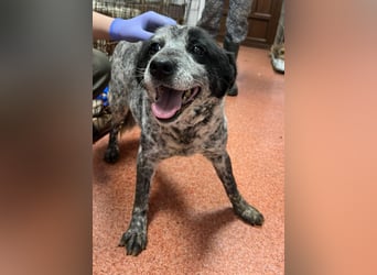 Kora - herzallerliebst❤️