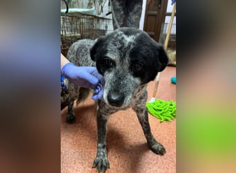 Kora - herzallerliebst❤️