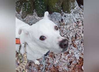 Frieda - fröhlich und unkompliziert