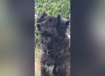 Charlotte - PLZ 31603