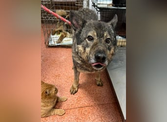 Emilio musste so viel Leid ertragen