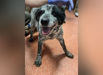 Kora - herzallerliebst❤️