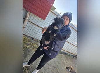 Ronya - süßer Schatz