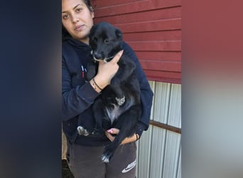 Ronya - süßer Schatz