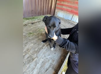 Ronya - süßer Schatz