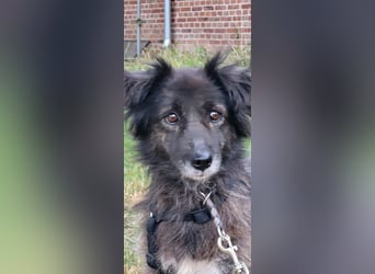 Charlotte - PLZ 31603
