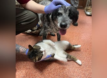 Kora - herzallerliebst❤️