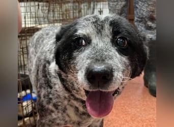 Kora - herzallerliebst❤️