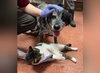 Kora - herzallerliebst❤️