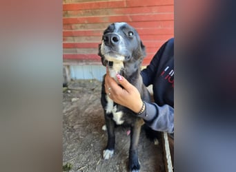 Maylo - sooo hübsch❤️