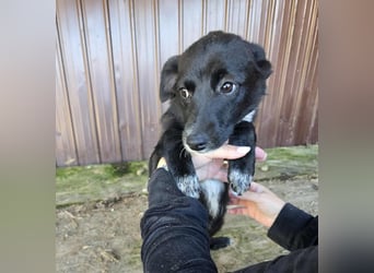 Ronya - süßer Schatz