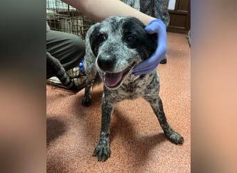 Kora - herzallerliebst❤️