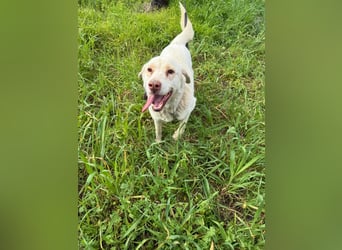 Hündin Mary sucht ein warmes Plätzchen