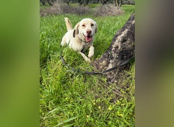 Hündin Mary sucht ein warmes Plätzchen
