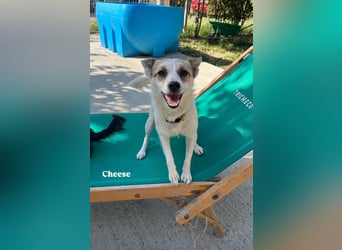 Lizzy (1) sucht ein liebevolles Zuhause